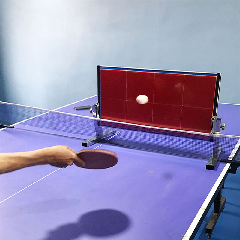 Table de tennis de table à dom - Table Tennis Video Game avis et prix
